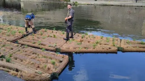 LDRS Floating ecosystem