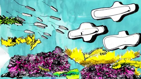 BBC Illustration of underwater scene with tampons and pads