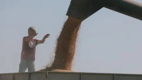 Getty Images Grain harvest in Kharkiv region, 25 Jul 17 file pic