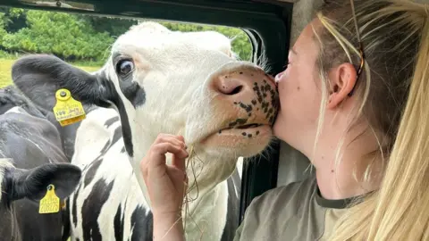Ellie Scovell A young woman with blonde hair sitting in a car stroking a cow that is poking its head through the window