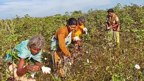 Appachi Manni Chinnaswamy founded Appachi cotton in 1996, transforming a 60-year-old family cotton-mill business into a fully organic operation (Credit: Appachi)