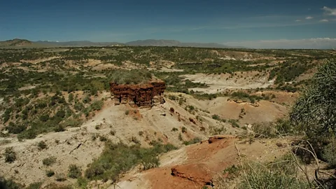 Photography by Jules Holleboom/Getty Images Olduvai Gorge is one of the most important sites containing fossil evidence for human evolution (Credit: Photography by Jules Holleboom/Getty Images)