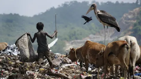 BIJU BORO India