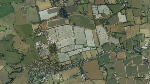 Google Earth Aerial view of strawberry farm