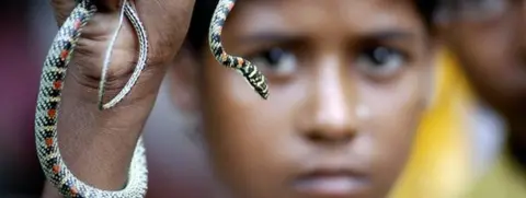 Getty Images A child snake charmer in India