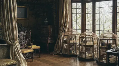 Fox Searchlight Set of The Favourite
