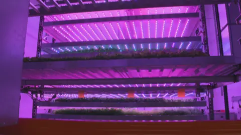 vertical robotic farming