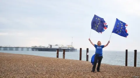 PA Media Anti-Brexit protester