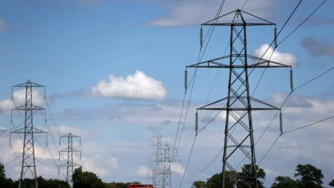 Reuters Electricity pylons
