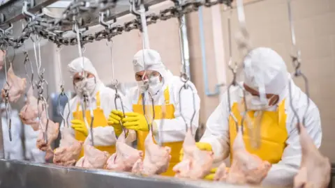 Getty Images Processing chicken - stock shot