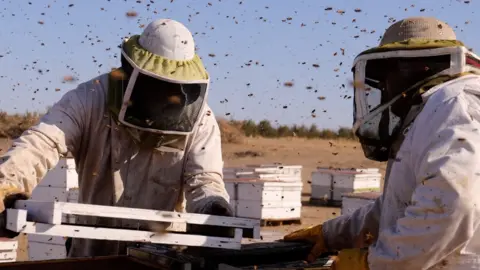 Pamela Parker Californian beekeeper