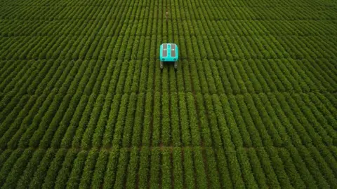Mineral A modern version of the buggy rolls through a huge field of low-height green crops, stretching as far as the eye can see