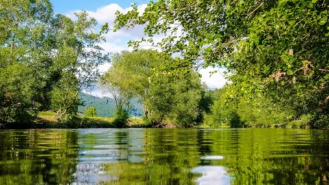Rivers Trust River