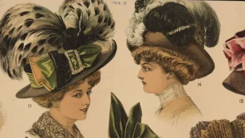 Wardown Park Museum Feather for fashion