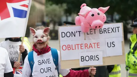 PA Media Pig protest