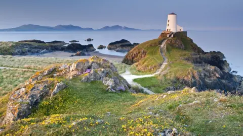 Getty Images Nature shot of Anglesey