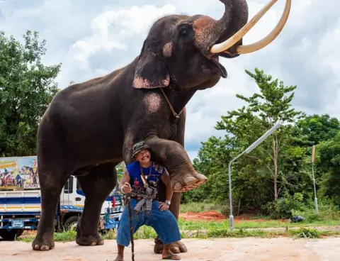 BBC 18-year-old Kwanmueang and his mahout Lek