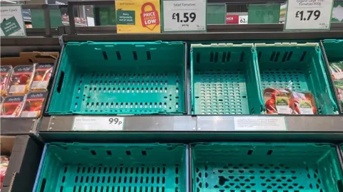 SWNS Picture of gaps in tomato shelves
