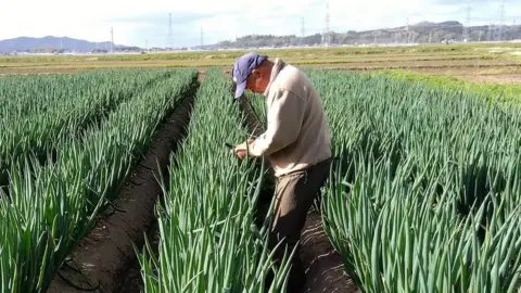 Kensuke Takahashi Farmer Kensuke Takahashi.