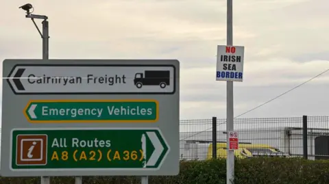 Bloomberg/Getty A white grey evening sky with a camera on the left hand side above a road sign that reads 'Cairnryan Freight' in black and white with a lorry symbol, 'Emergency Vehicles' in green, white and yellow and 'All Routes' in brown, green, white and yellow. 

To the right of that is a 'no Irish Sea Border' sign on a lamppost above a green bush with a yellow van sticking out in the background. 