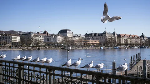 Picturesque Zurich Lake. (Juergen Held/Getty)