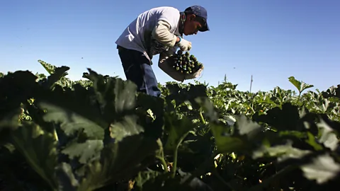 Getty Images Creating quality jobs that pay well can go a long way to solving inequality (Credit: Getty Images)
