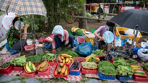 dpa picture alliance/Alamy Gwangju has three main food markets and four specialty food areas, as well as fresh produce for sale across the city (Credit: dpa picture alliance/Alamy)