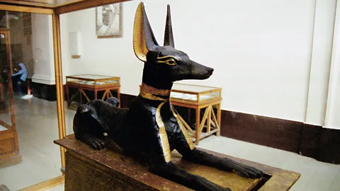Alamy The canine-like god Anubis was an indication of the high value placed on dogs in Ancient Egypt (Credit: Alamy)