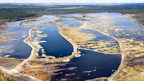 Mika Honkalinna Rewetting the wetlands has stopped the decomposition of its peat, which prevents harmful CO2 emissions (Credit: Mika Honkalinna)