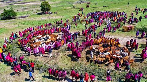 Orkiaama (PALCA Reconciliation ceremonies took place in 2023, across four sites in Tanzania and Kenya (Credit: Orkiaama (PALCA))