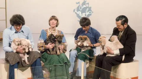 Three men and one woman sitting on benches in a Blue Peter studio each holding two to three puppies on their laps. From left to right are presenters Peter Purves, Lesley Judd and John Noakes. Derek Freeman is on the far right. The Blue Peter ship logo can be seen on a wall behind them.