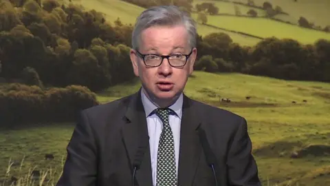 BBC Michael Gove