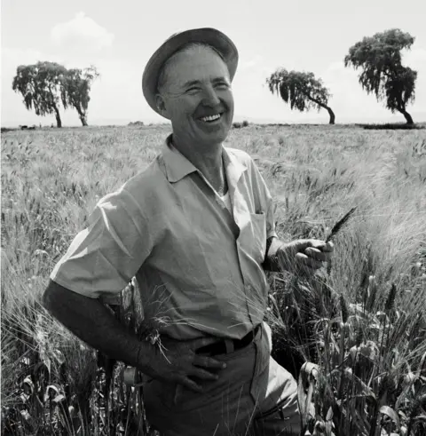 Getty Images Norman Borlaug pictured in a wheat field in Toluca, Mexico