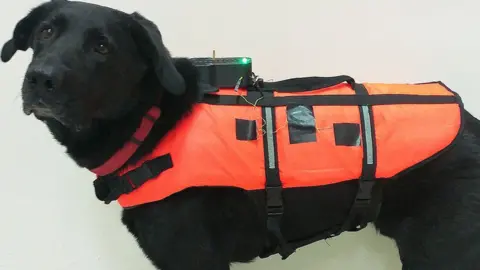 Jonathan Atari Tai and his haptic vest