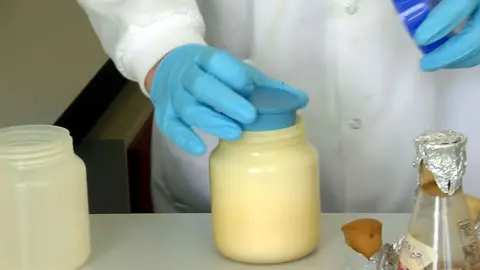 Chitosan