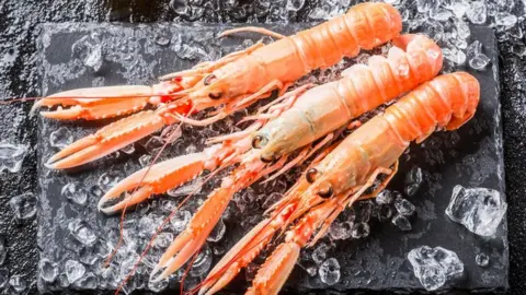 Getty Images Langoustine