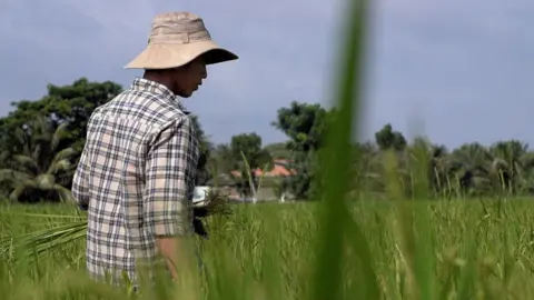 BBC Phan Thi Hang, a farmer in Vietnam's Ben Tre province