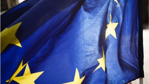 Getty Images An EU flag flies outside the Houses of Parliament in London