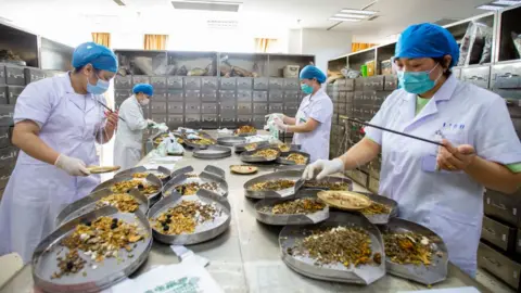 Getty Images Workers preparing traditional medicine