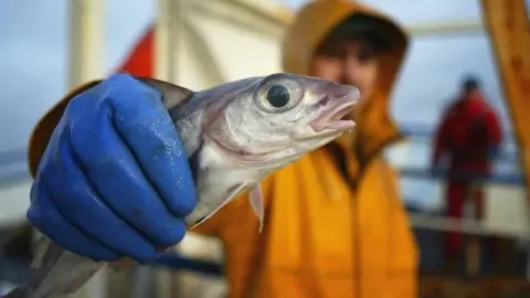 Getty Images fisherman holding a haddock