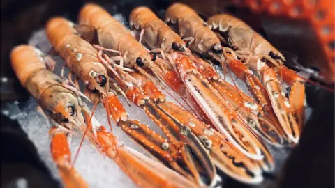 Getty Images langoustines