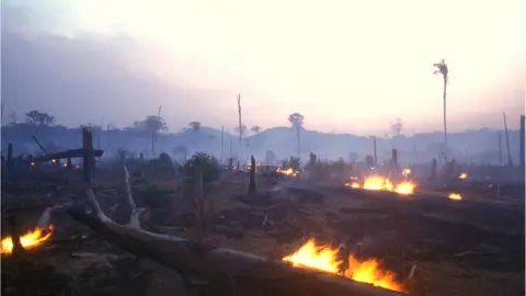 Brasil2 Trees being burnt and land cleared in the Brazilian Amazon rainforest
