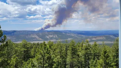 Reza Fakhrai/US Forest Service Reza Fakhrai's lookout in New Mexico