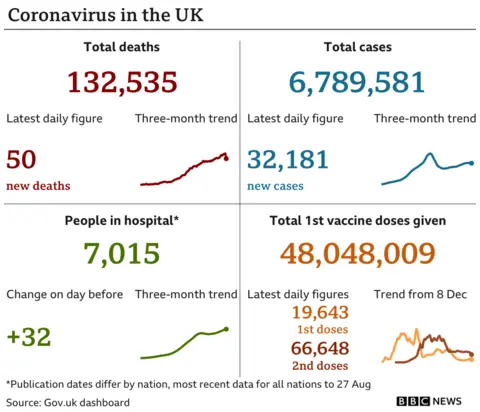 Coronavirus daily statistics in the UK