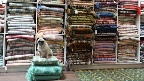 Jane Beck Jane Beck's shop