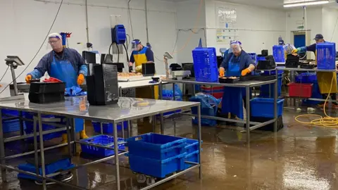 BBC Workers at Coquet Island Shellfish Company