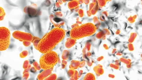 Getty Images Multi-drug resistant Acinetobacter baumannii bacteria inside biofilm, computer illustration.
