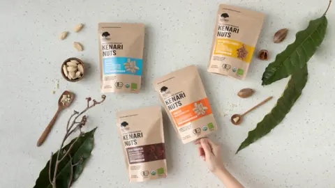 East Forest Kenari Nuts East Forest Nuts kenari