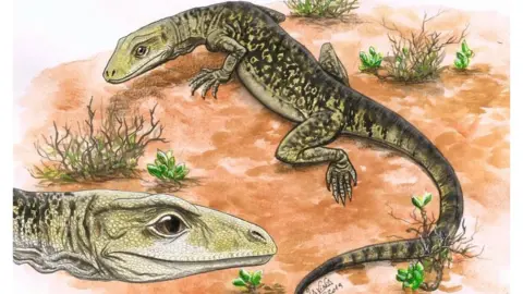 Lavinia Gandolfi Artist's impression of Cryptovaranoides microlanius
