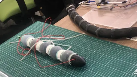 Christine Ro IIT's earthworm undergoing tests